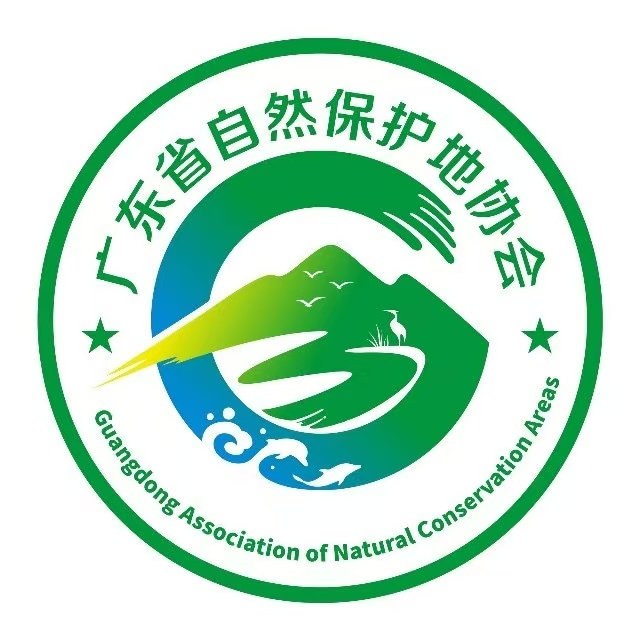 图片13.png